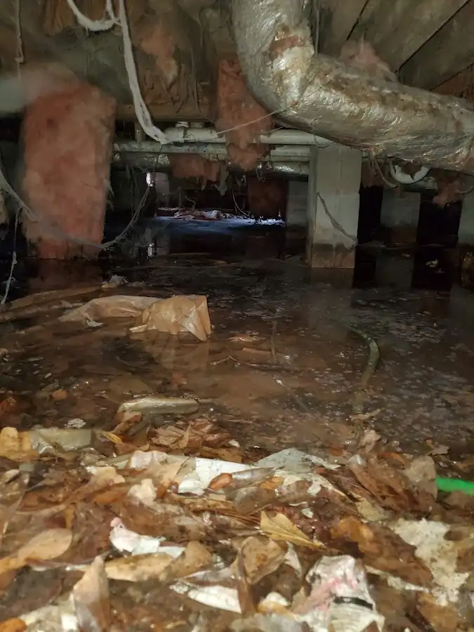 Crawl space flood assessment for Leak Detection & Repair in Summit